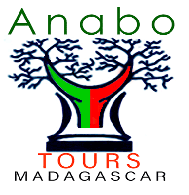 Private car with Driver Guide Madagascar